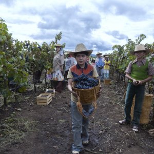 A Million Miles Away: una scena