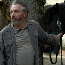 Il mio amico Tempesta: una foto