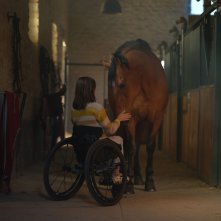 Il mio amico Tempesta: un frame del film