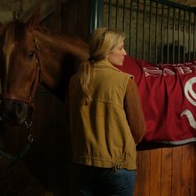 Il mio amico Tempesta: una scena del film