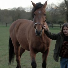 Il mio amico Tempesta: una sequenza