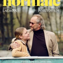 Locandina di Normale