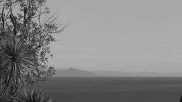 Cinque stanze - Trailer