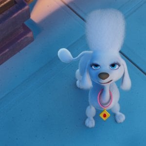 Paw Patrol: Il Super Film - una foto del film