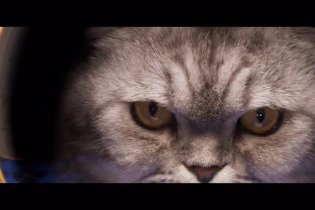 Argylle - Teaser Trailer