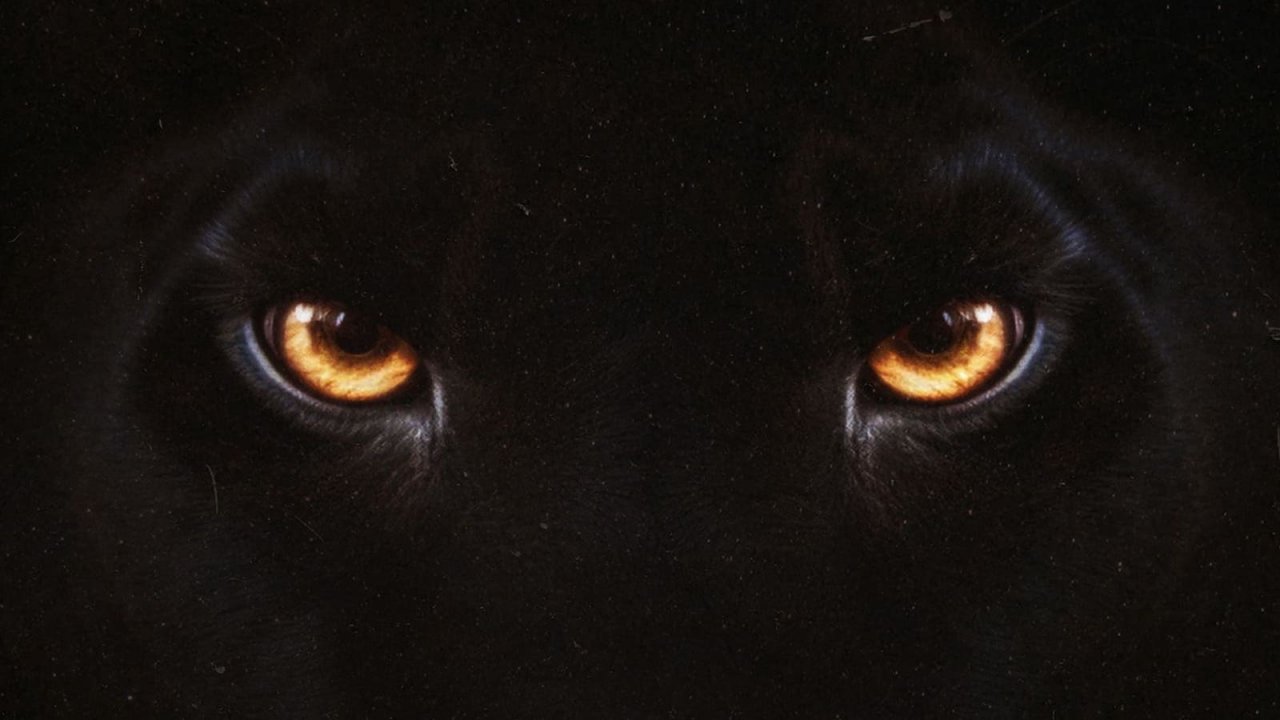 Diabolik chi sei?: cosa ci aspettiamo dal terzo dei film dei Manetti Bros.