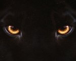 Diabolik chi sei?: cosa ci aspettiamo dal terzo dei film dei Manetti Bros.