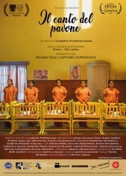 Locandina di Il canto del pavone
