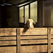 Gorgona: una sequenza del film