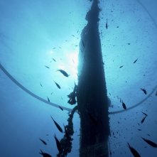 Gorgona: una foto del film