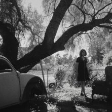 Fremont: un momento del film