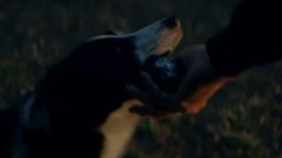 La Guerra Del Tiburtino III - Trailer