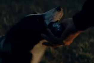 La Guerra Del Tiburtino III - Trailer