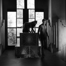 Diabolik - Chi sei?: Lorenzo Zurzolo in una foto