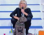 Uomini e Donne cambia: Maria De Filippi chiude le puntate con lo spot a favore delle adozioni dei cani (VIDEO)
