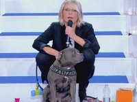 Uomini e Donne cambia: Maria De Filippi chiude le puntate con lo spot a favore delle adozioni dei cani (VIDEO)