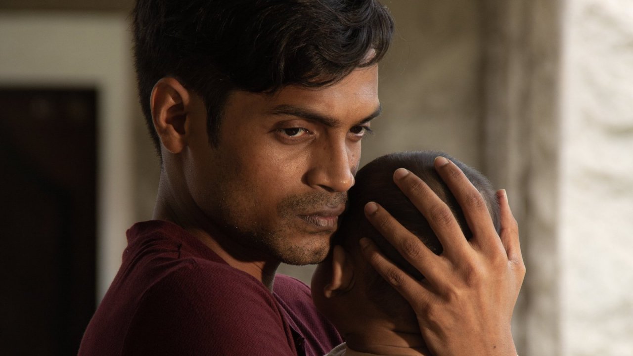 Il canto del pavone, la recensione: l'epopea degli ultimi