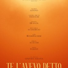 Locandina di Te l'avevo detto
