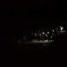 Segnali di vita: una foto