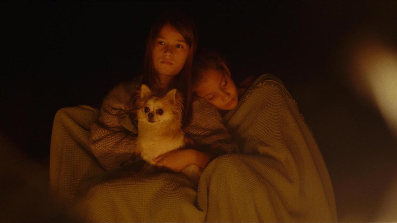 Superluna, Federico Bondi: 'Oggi abbiamo perso la capacità di parlare'