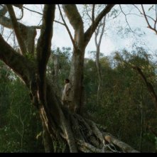 Eureka: un'immagine del film