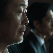 Cottontail: una sequenza