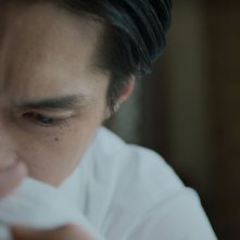 Cottontail: una foto