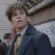 Animali fantastici, David Yates: 'La saga è semplicemente in pausa'