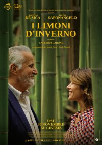 Locandina di I limoni d'inverno