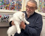 Nino Frassica: il suo gatto trattenuto in una casa di Spoleto 'Chi lo ha preso non vuole restituirlo'