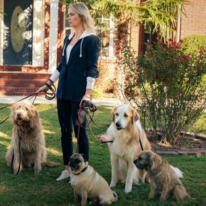 Pain Hustlers - Il business del dolore: una scena