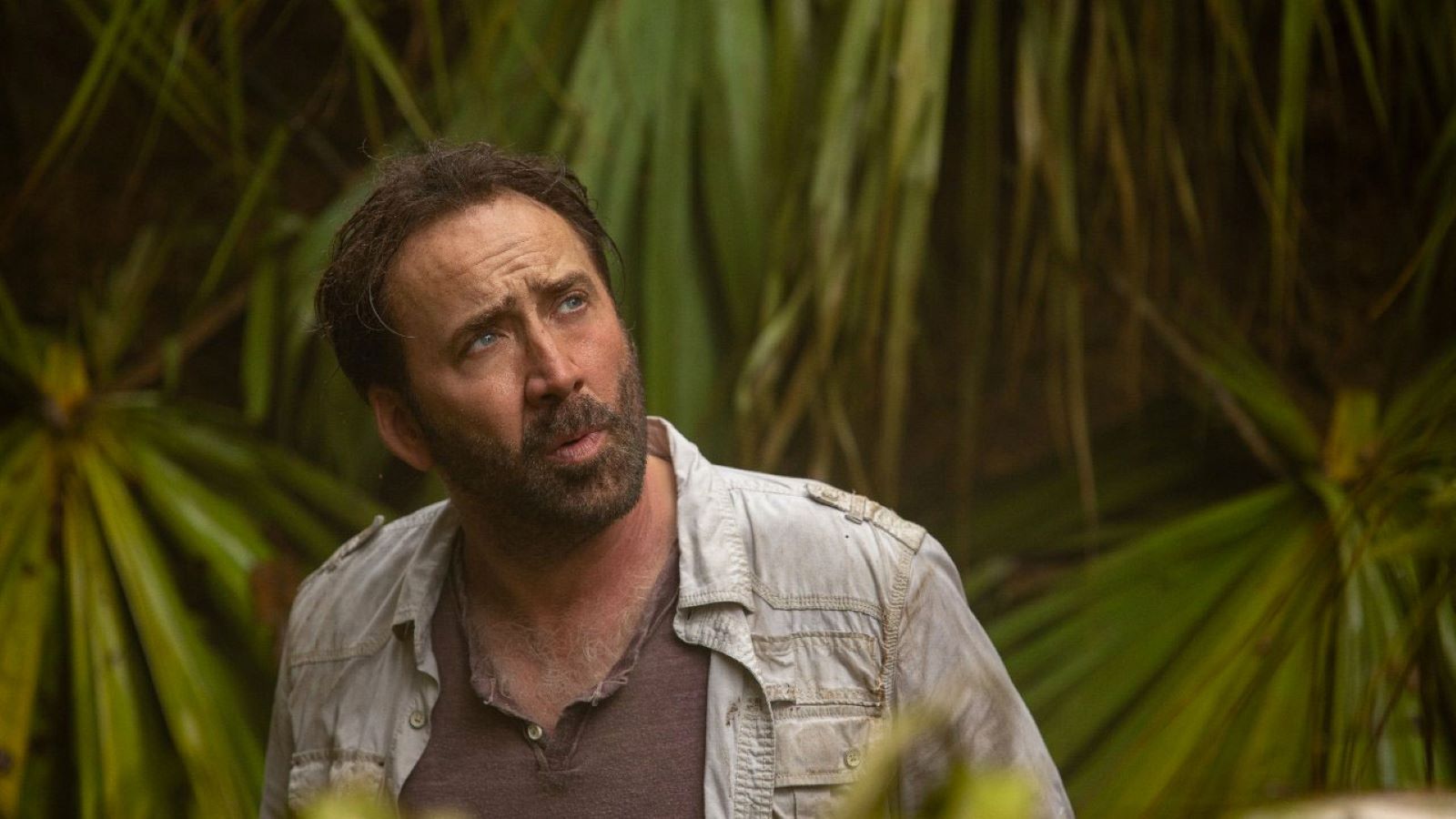 Primal: trama del film con Nicolas Cage stasera su Rai 4, sabato 28 ottobre