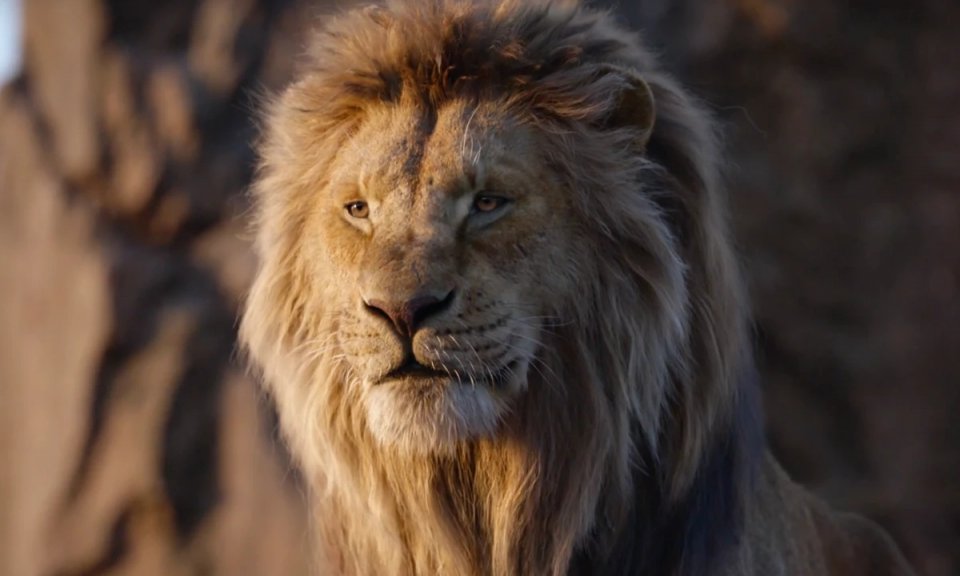 Mufasa The Lion King Tutto Quello Che Sappiamo Sul Nuovo Live Action Targato Disney