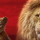 Mufasa: The Lion King, tutto quello che sappiamo sul nuovo live-action targato Disney