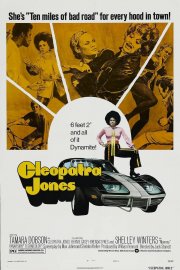 Locandina di Cleopatra Jones: licenza di uccidere