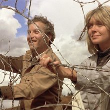 Incontri ravvicinati del Terzo Tipo: Richard Dreyfuss e Teri Garr in una scena del film