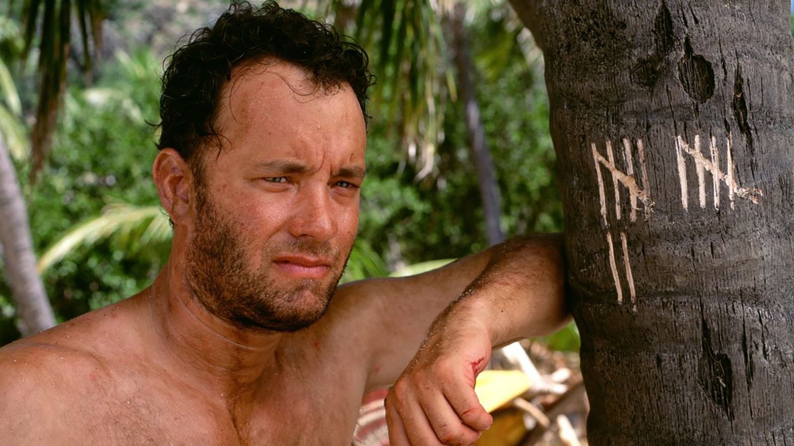 Cast Away: un esperto di sopravvivenza nella giungla spiega perché il film con Tom Hanks è così accurato
