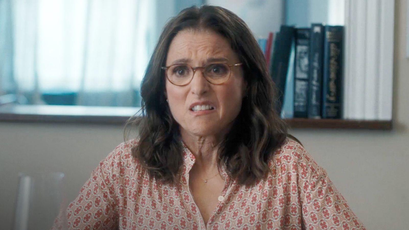 You Hurt My Feelings: Julia Louis-Dreyfus brings applause in the Italian trailer of the film scheduled for Turin 2023
