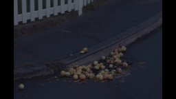 Sometimes I Think About Dying - Trailer