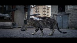 Il paese dei jeans in agosto - Trailer