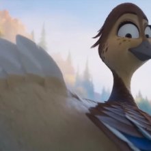 Prendi il volo: un'immagine