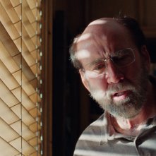 Dream Scenario - Hai mai sognato quest'uomo?: Nicolas Cage in un primo piano