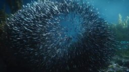 Aquaman And The Lost Kingdom - Promo