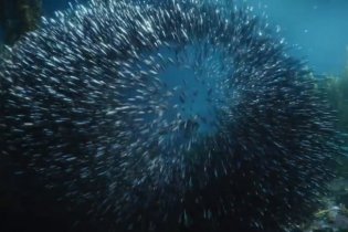 Aquaman And The Lost Kingdom - Promo