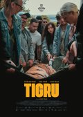 Locandina di Day of the Tiger