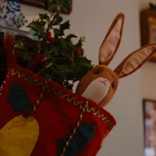 Il coniglietto di velluto: il coniglietto in una scena del film