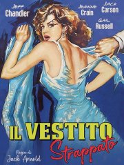 Locandina di Il vestito strappato