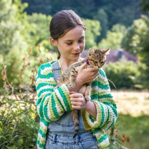 Vita da gatto: una scena del flim