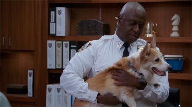 Andre Braugher Brooklyn Nine Nine Cheddar