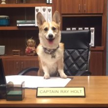 Brooklyn Nine-Nine: Cheddar in una foto